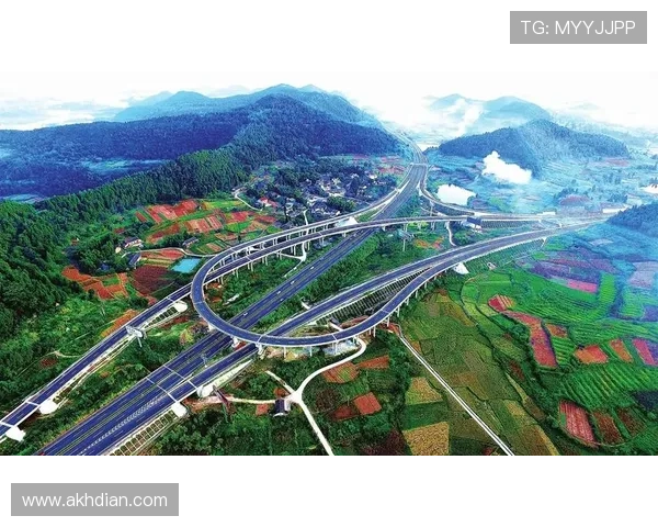 热那亚中路渗透：交通变革助推城市出行效率提升分析