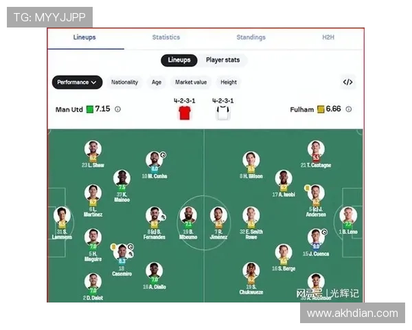 最新阵容名单公布，球队主力框架保持稳定