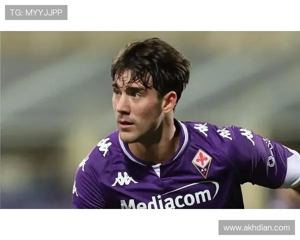 努涅斯本菲卡时期荣誉解析：成名基础