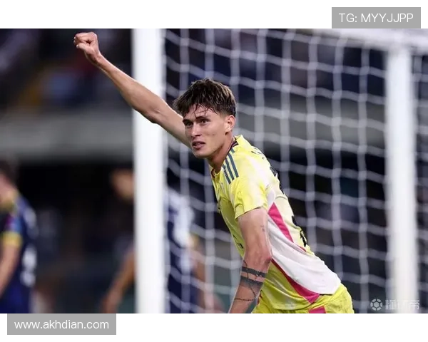 弗拉霍维奇：从潜力中锋到亿元先生的巅峰期成长解析