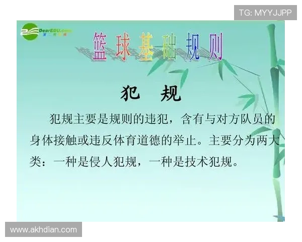 篮球技术犯规的判罚依据与处罚方式解析